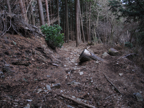 20160121hike (355)